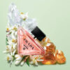 prada paradoxe ingredients trio bottle full rgb dmi image na no cta